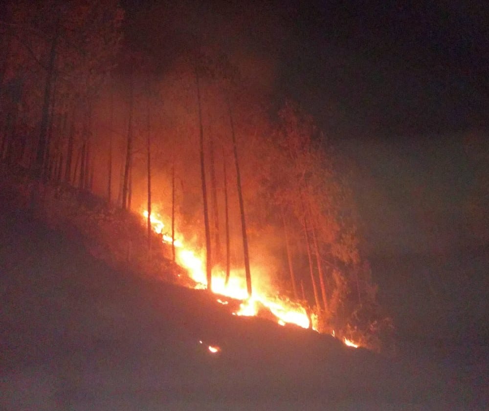 uttarakhand news: forest caught fire from three days