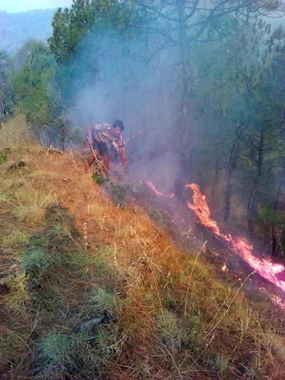 fire on the himayan hills burning forest, destruction of environment