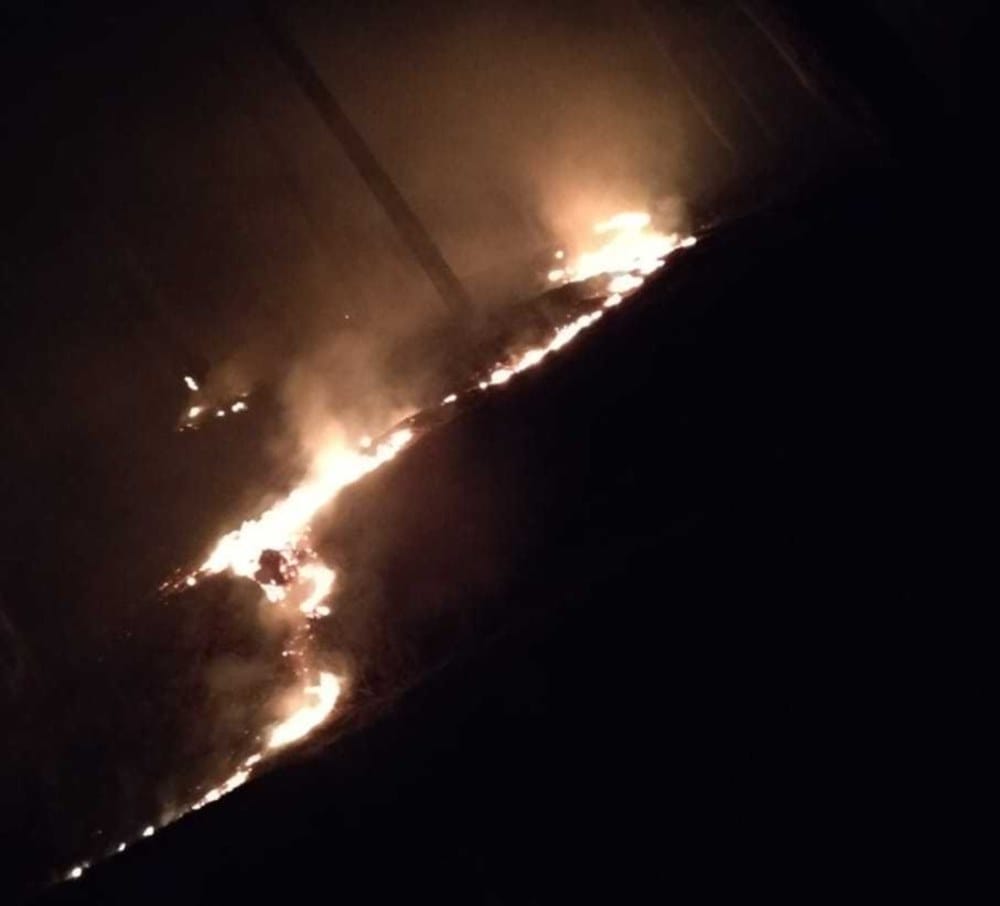 wild fire Foreign women surrounded by forest fire at nainital