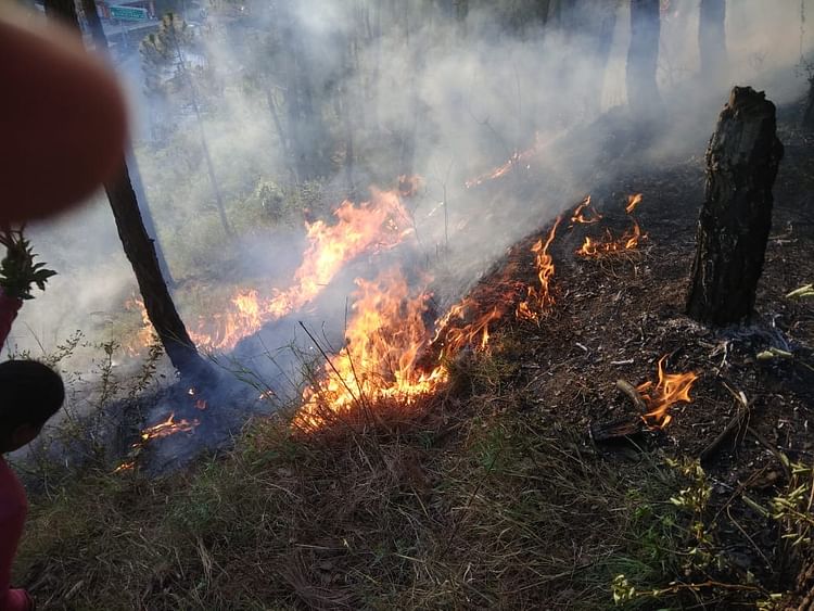 Usa Texas Fire Still Burning Two Dead More Than 500 Houses Torches World News