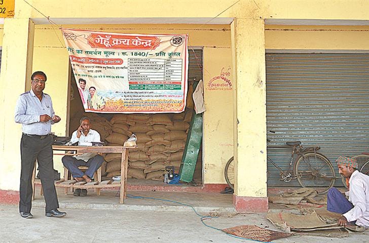 Wheat prices rise in the mandis, chaos silence on the centers