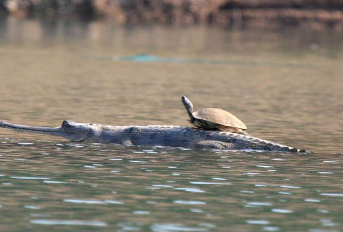 know about success story of Arun Krishnamurthy