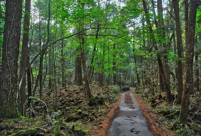 Weekend Travel Tips Best Forest to Visit in Delhi at Weekend in Hindi