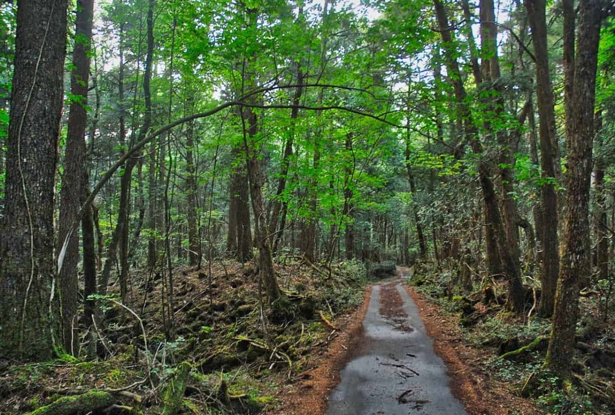 nainital high court put stay on orders not to consider forests less than 10 hectares as forests