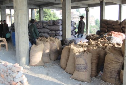 Himachali garlic rate increase Four times