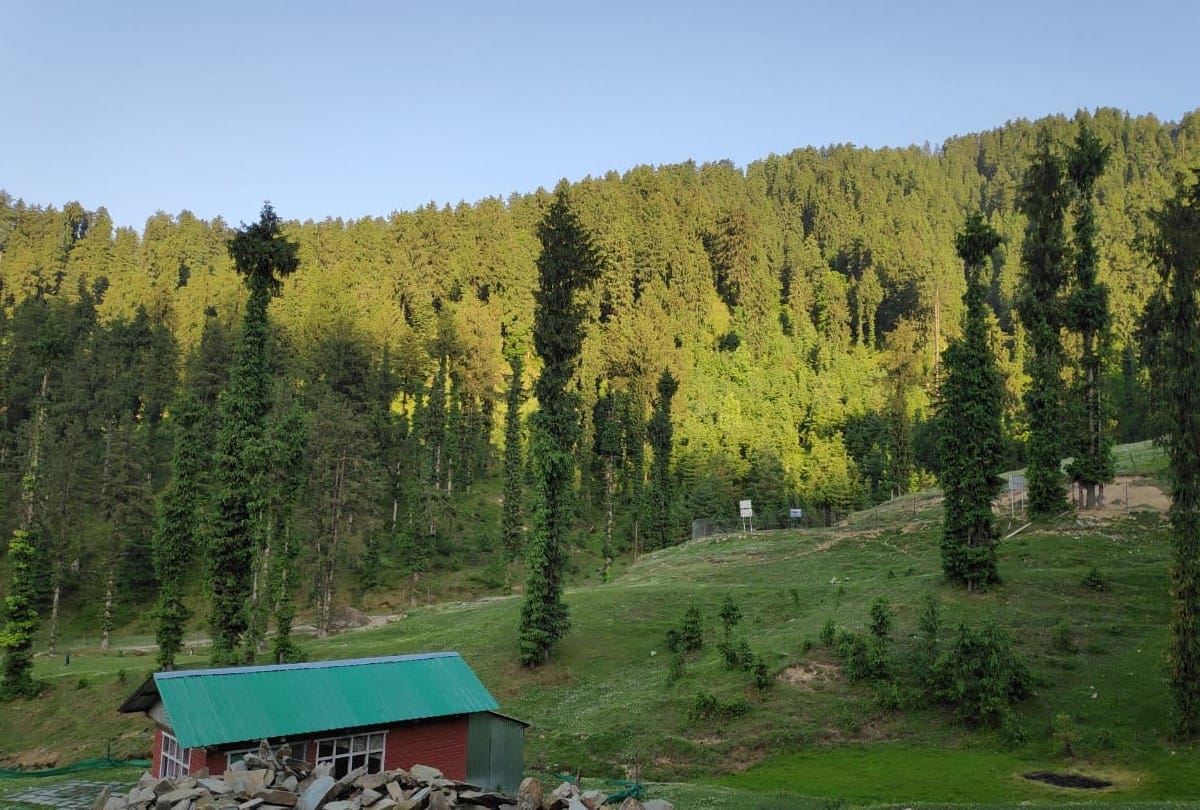 Yaariyan movie shooting in Janjehli Valley Mandi himachal pradesh