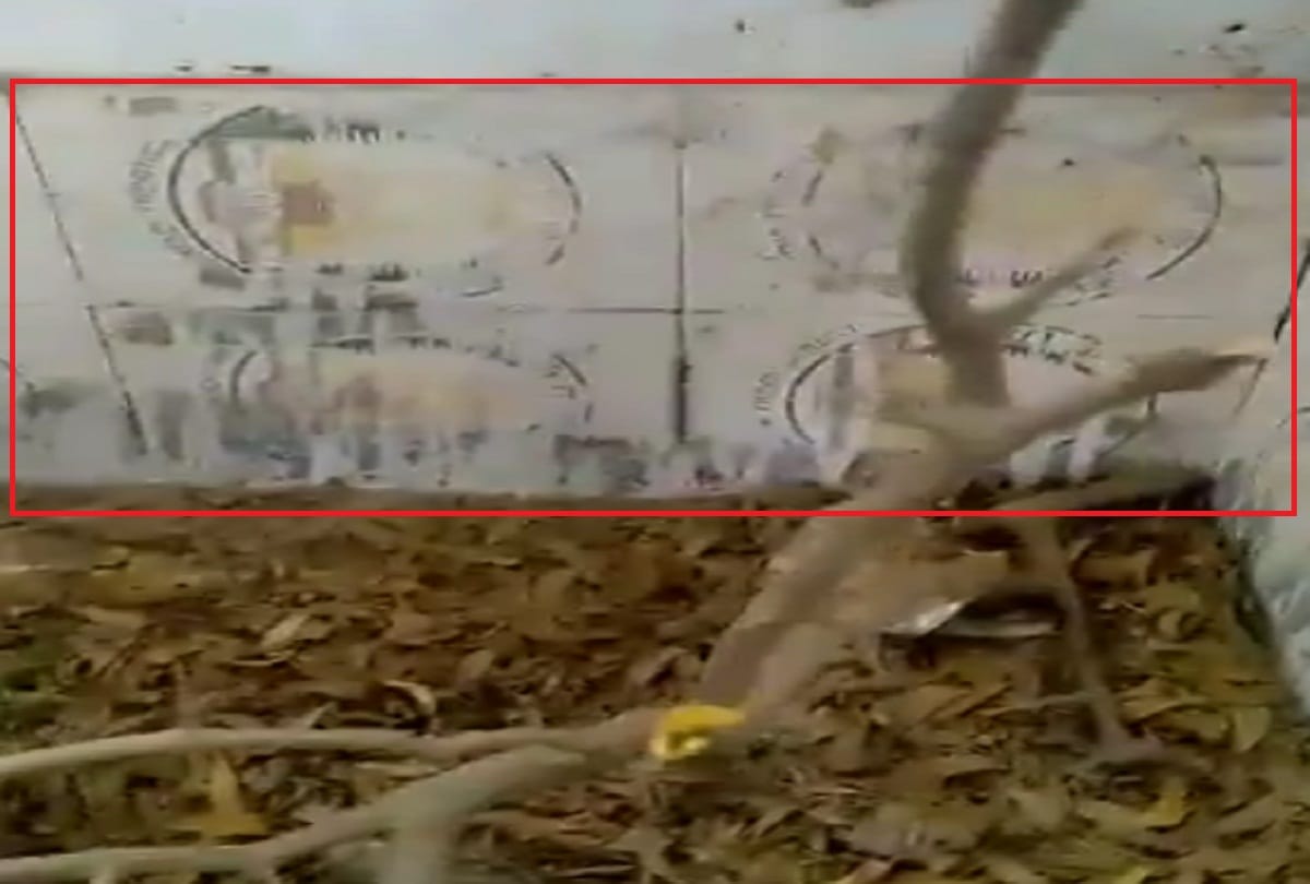 photos with mahatma gandhi on tiles used in public toilets in bulandshahr