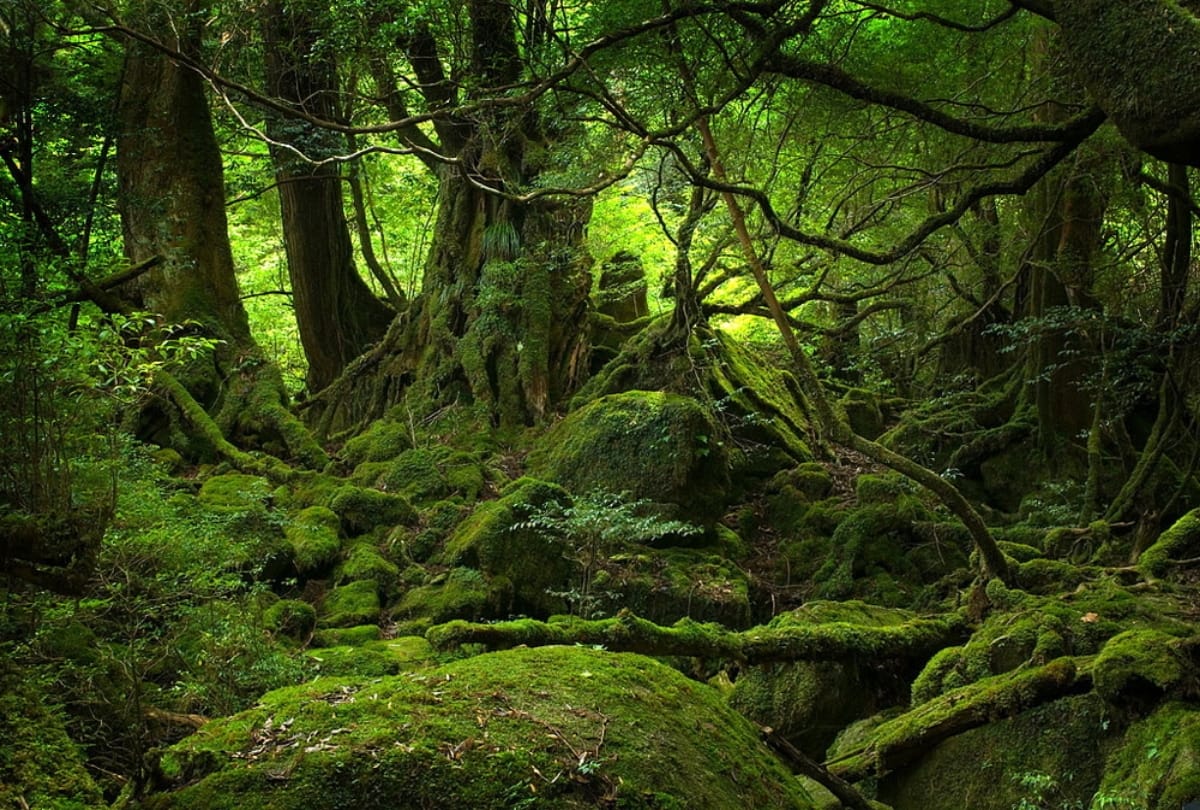 interesting and mysterious 3 place in world