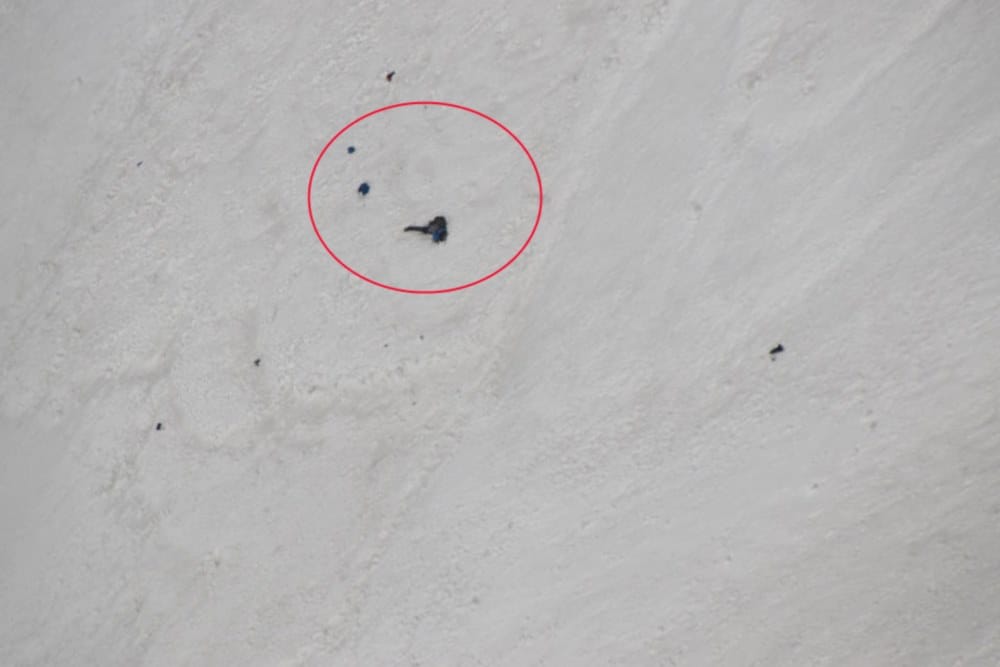 nanda devi missing climbers dead body seen in snow