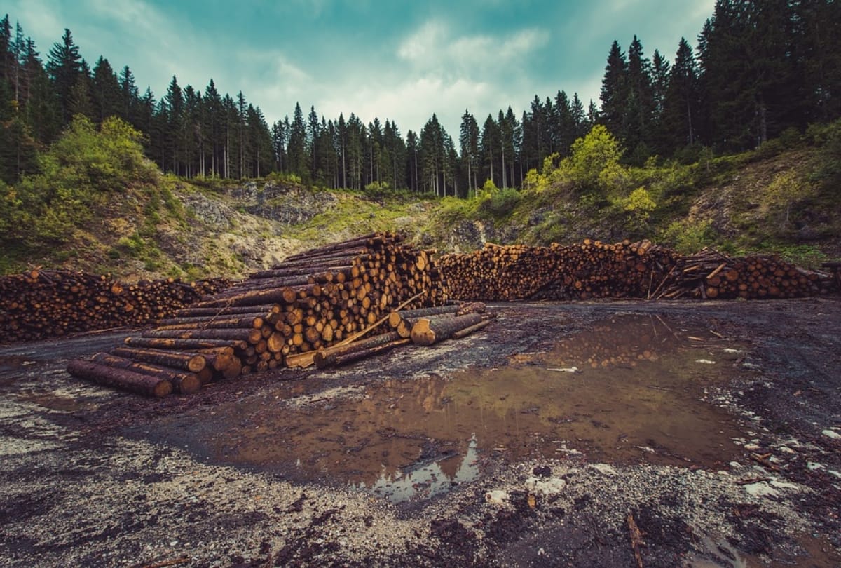 World Environment Day 2019: Biggest Environmental Problems