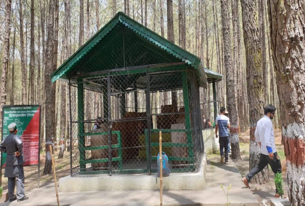 World Environment day 2019 Asia tallest tree mausoleum in uttarakhand 