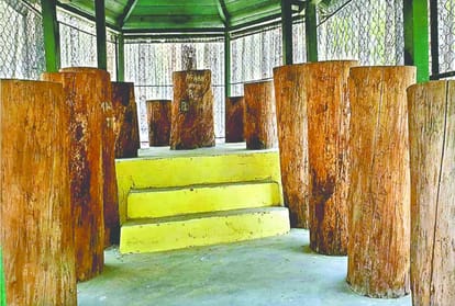 World Environment day 2019 Asia tallest tree mausoleum in uttarakhand 