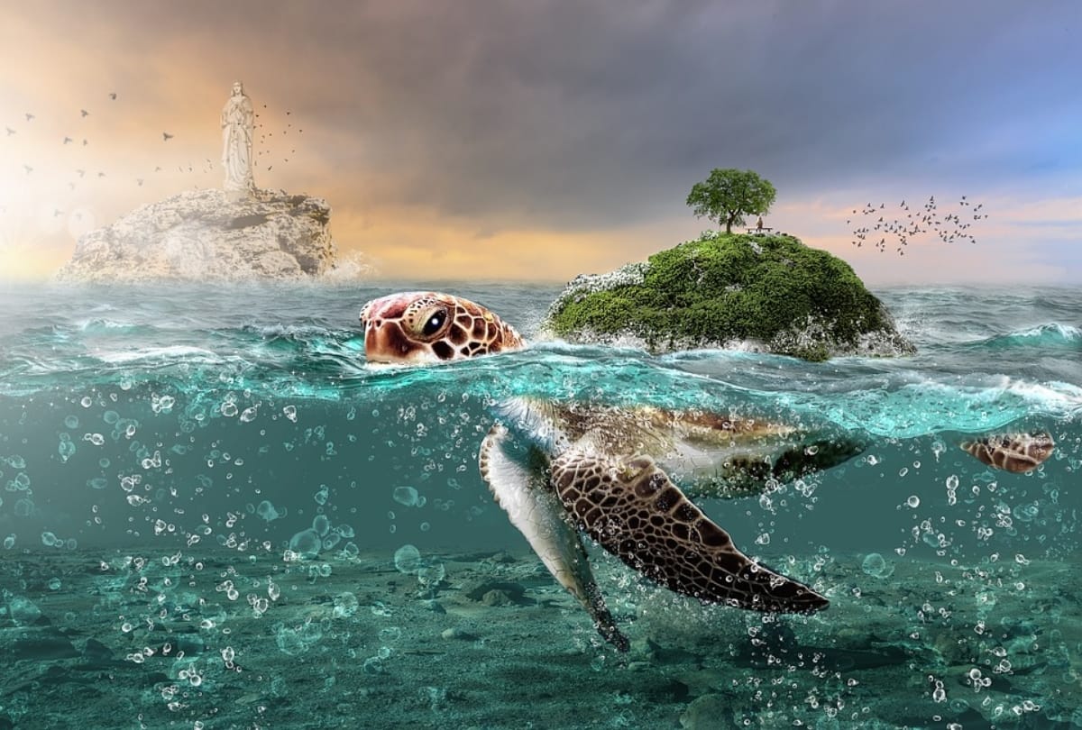 World Environment Day 2019 5 everyday items damaging environment daily