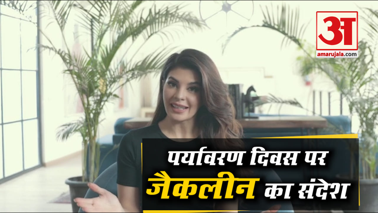 Salman Khan bharat special screening to anand kumar reaction on Super 30 these are top 5 news today
