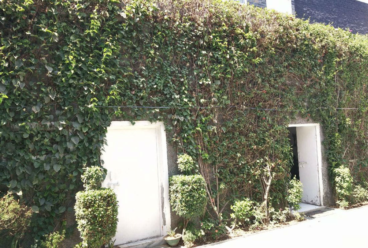 Vertical garden glimpse of Chandigarh will be seen in Jammu city in new year