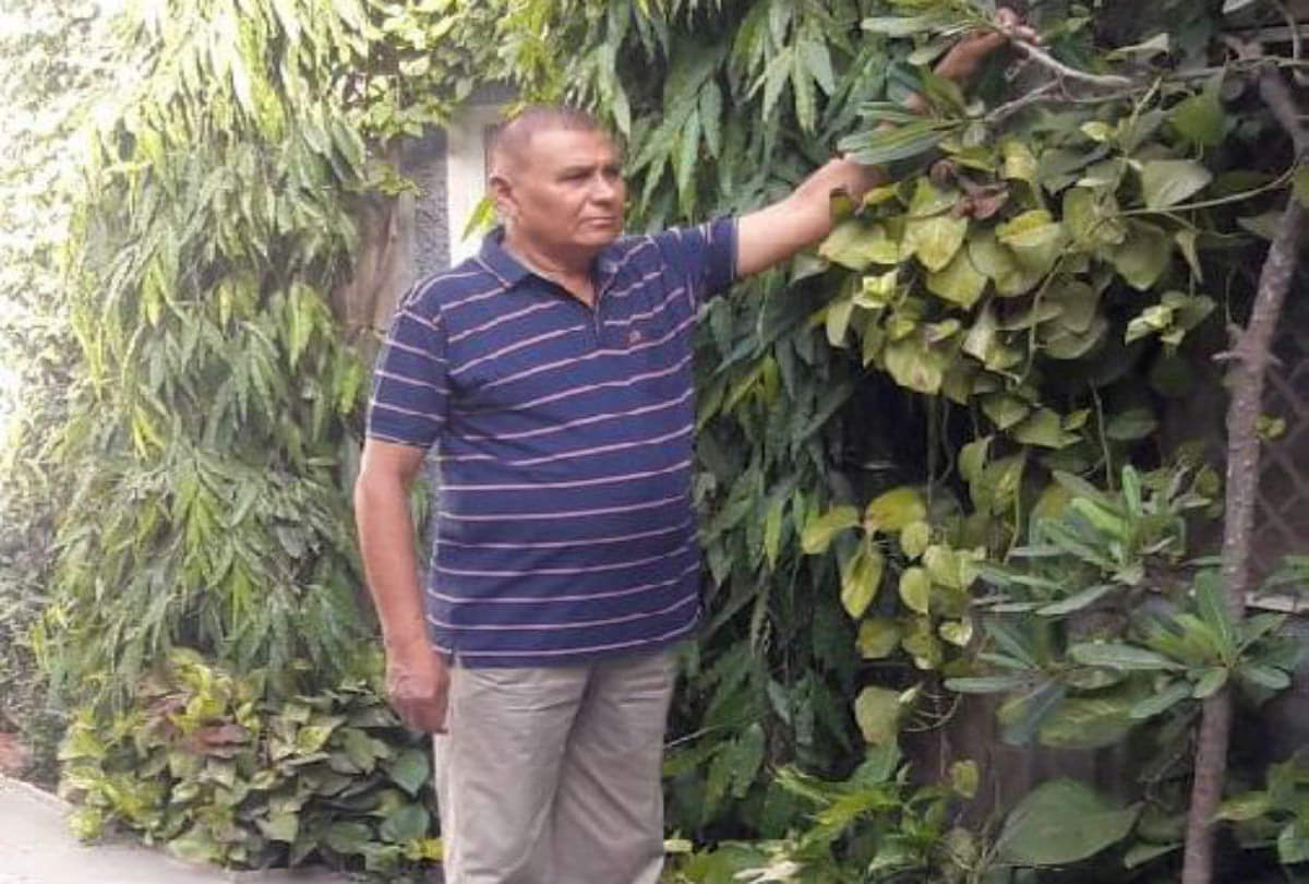 world environment day 2019 create vertical garden your home