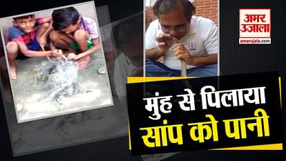 viral video of saving snakes and dog