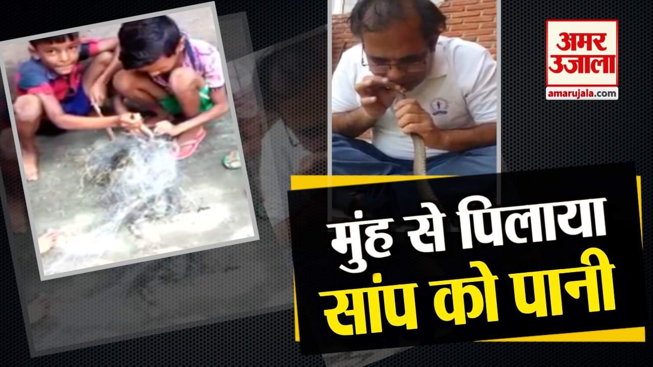 डिजाइन पिक्चर