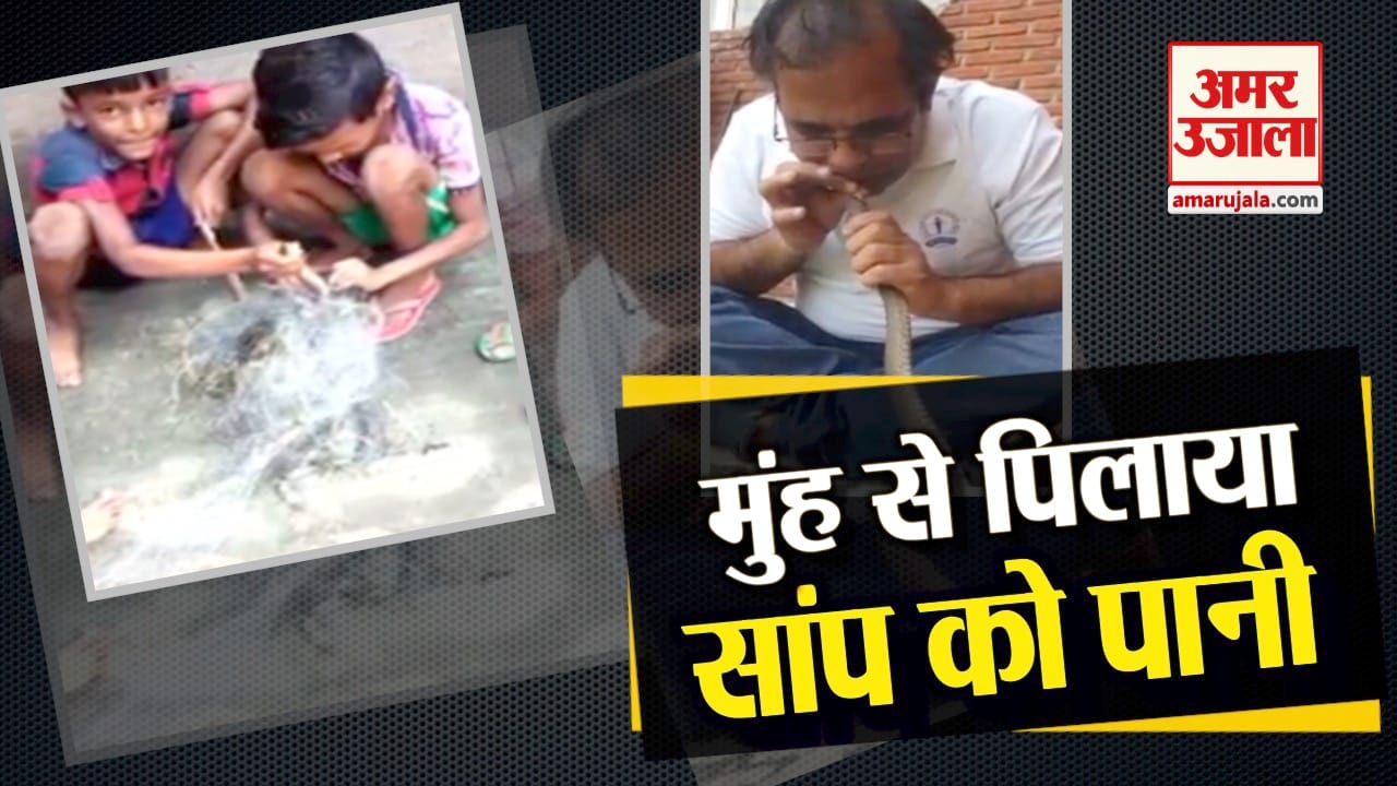 डिजाइन पिक्चर