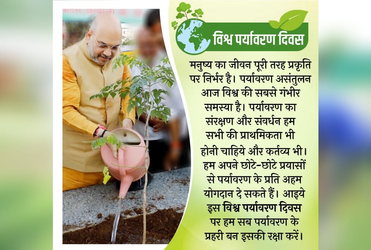 world environment day 2019 selfie with sapling ministers planting trees see photos