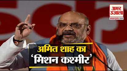 MODI GOVERNMENT WILL BE WORK ON DELIMITATION IN JAMMU-KASHMIR ,AMIT SHAH MET GOVERNOR SATYAPAL MALIK