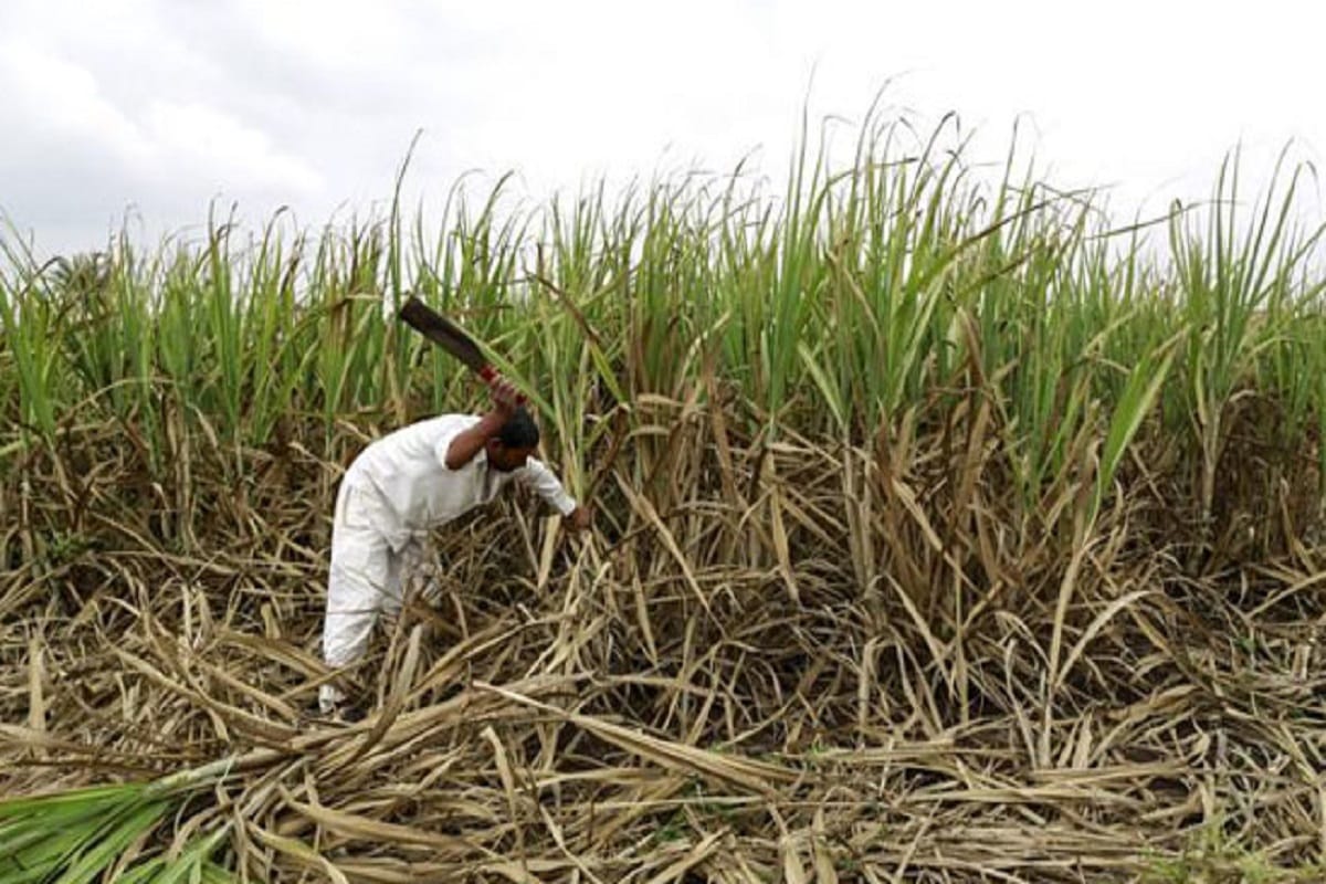 The case of fake sugarcane survey has reached Lucknow