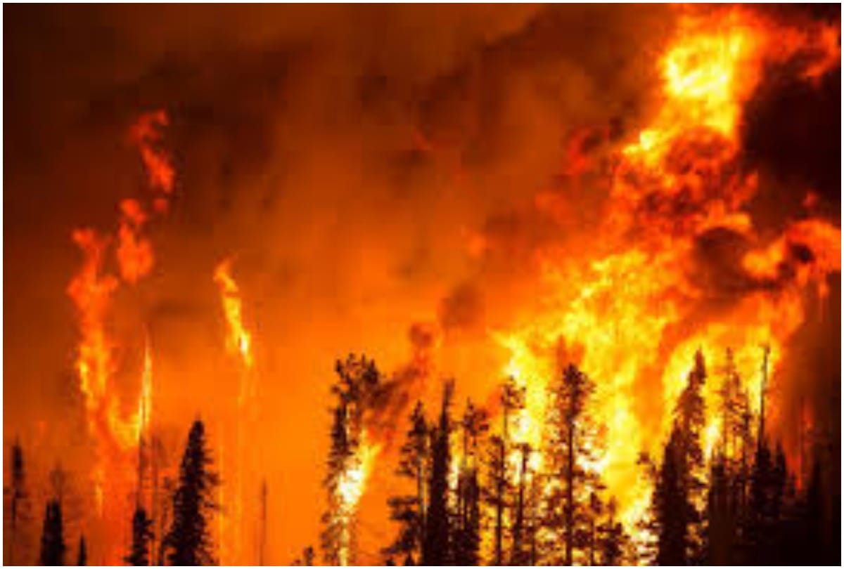 three people dead in a severe fire in the forests of northern california