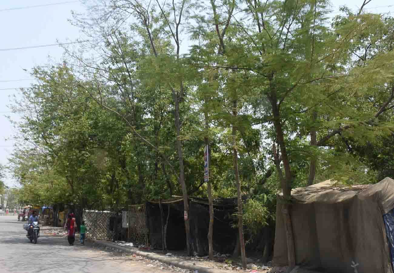 world environment day 2019 special story, must read this news