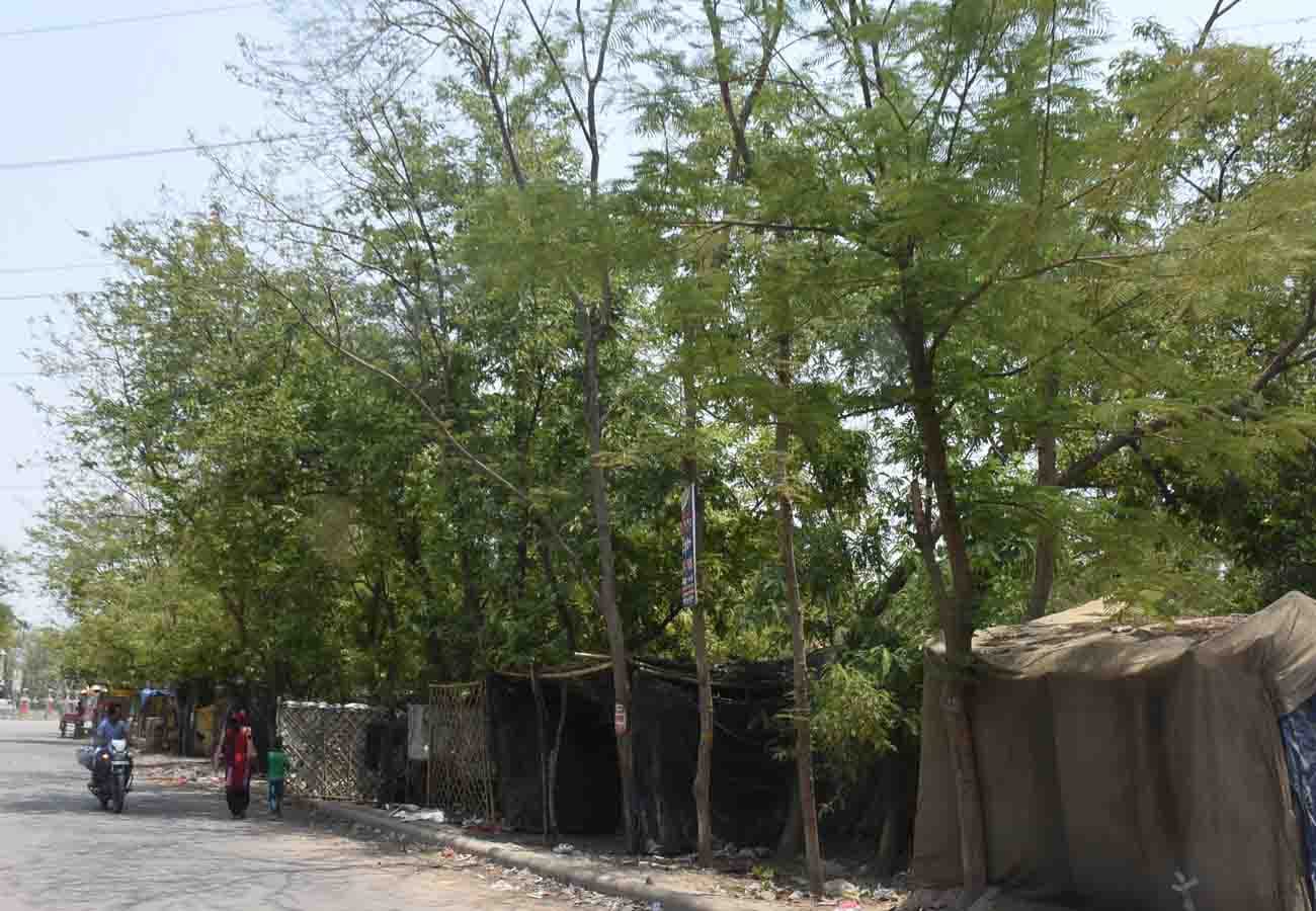 world environment day 2019 special story, must read this news