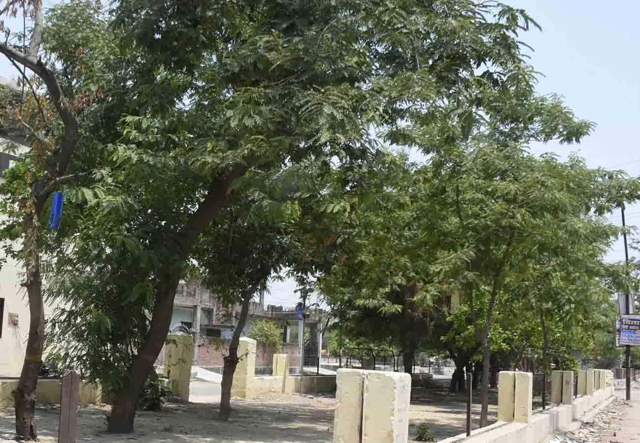 world environment day 2019 special story, must read this news