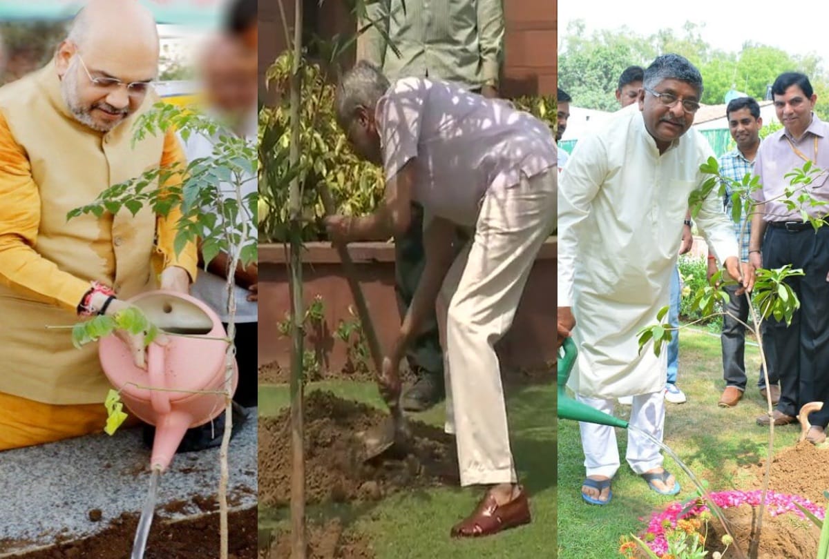 world environment day 2019 selfie with sapling ministers planting trees see photos