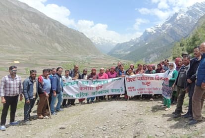 three thousand sampling planted in muling village lahaul spiti