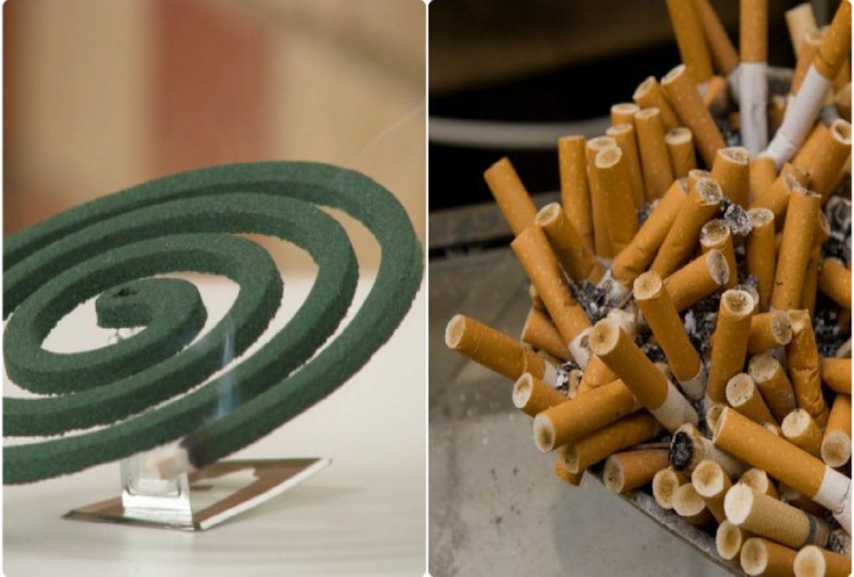 world environment day 2019: Indoor pollution is also harmful for Life
