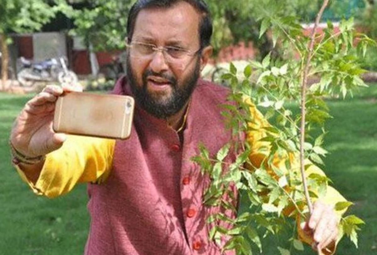 world environment day 2019 selfie with sapling ministers planting trees see photos