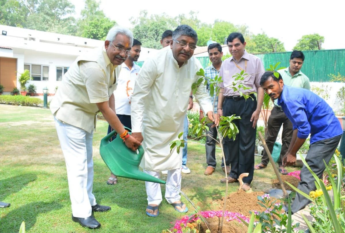 world environment day 2019 selfie with sapling ministers planting trees see photos