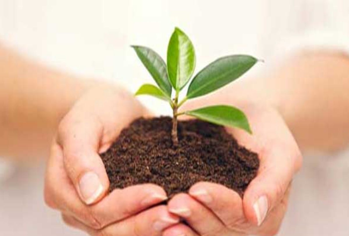 world environment day onkar sharma planted 3500 saplings in una himachal pradesh