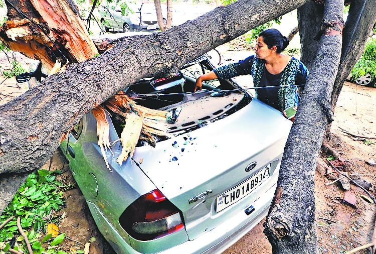 Weather Forecast for Next 72 Hours, Storm may hit punjab haryana chandigarh