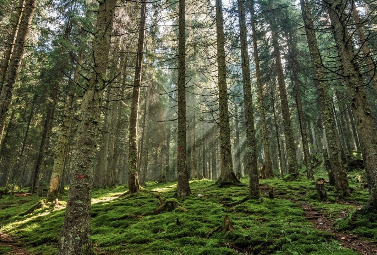 visit beautiful offbeat places in India for interesting experience and nature beauty