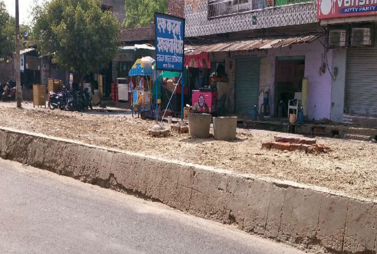 world environment day 2019 Tree Plant damage due to not care