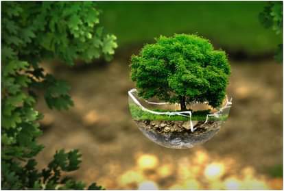 विश्व पर्यावरण दिवस