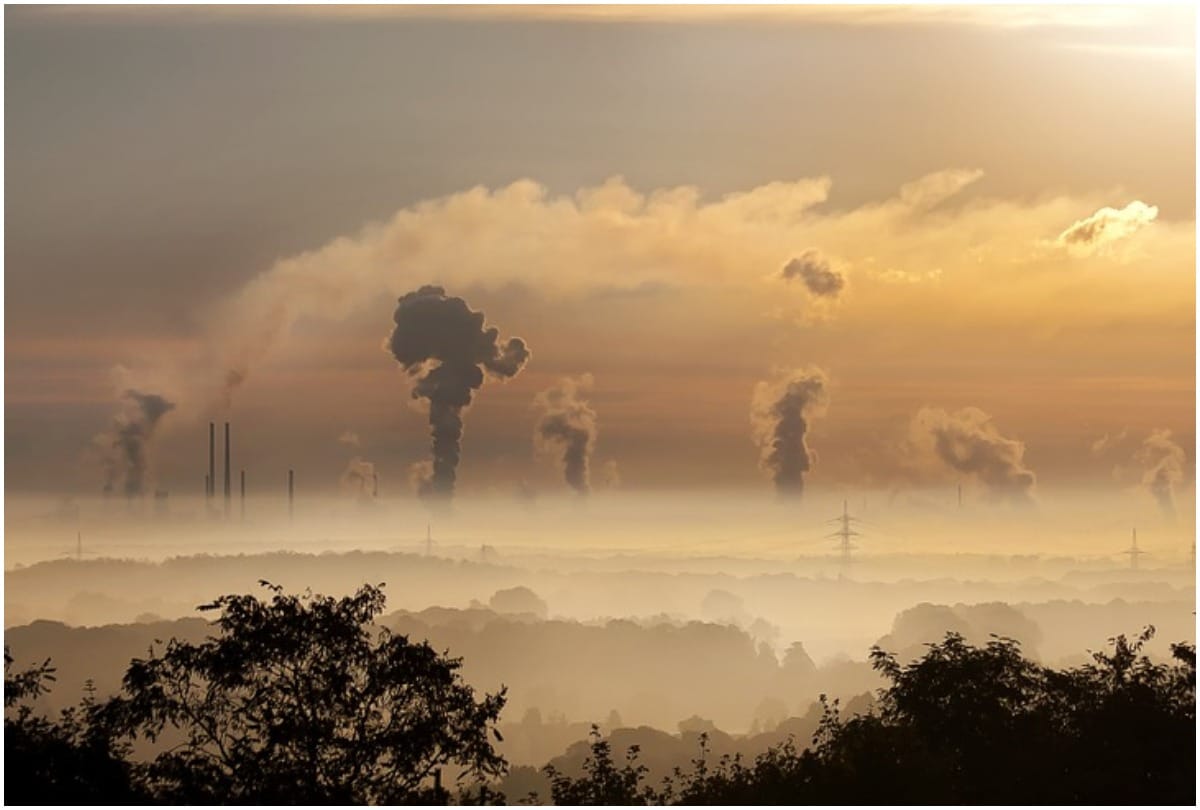 world environment day 2020 why it is celebrated on 5 june lockdown impact on environment