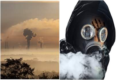 विश्व पर्यावरण दिवस