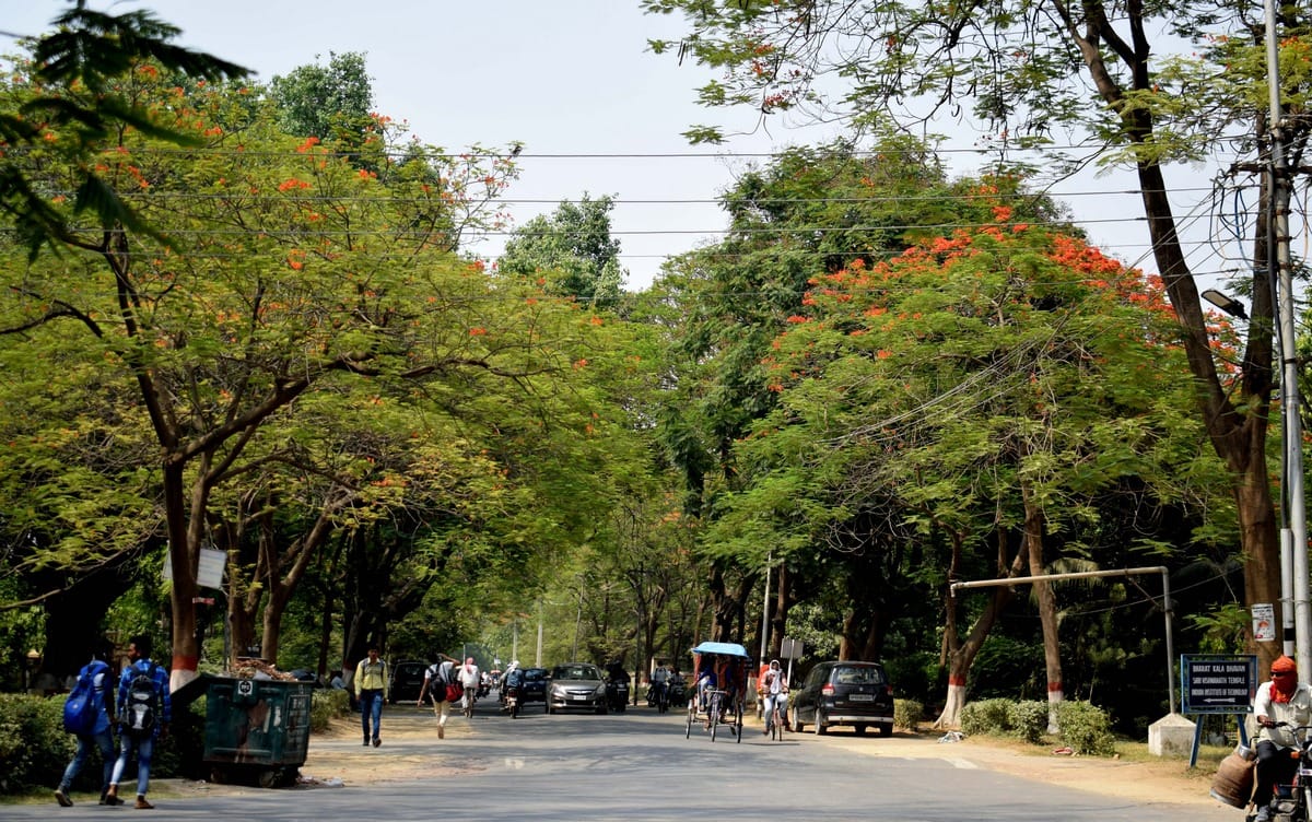 world environment day greenery is in these areas in Varanasi