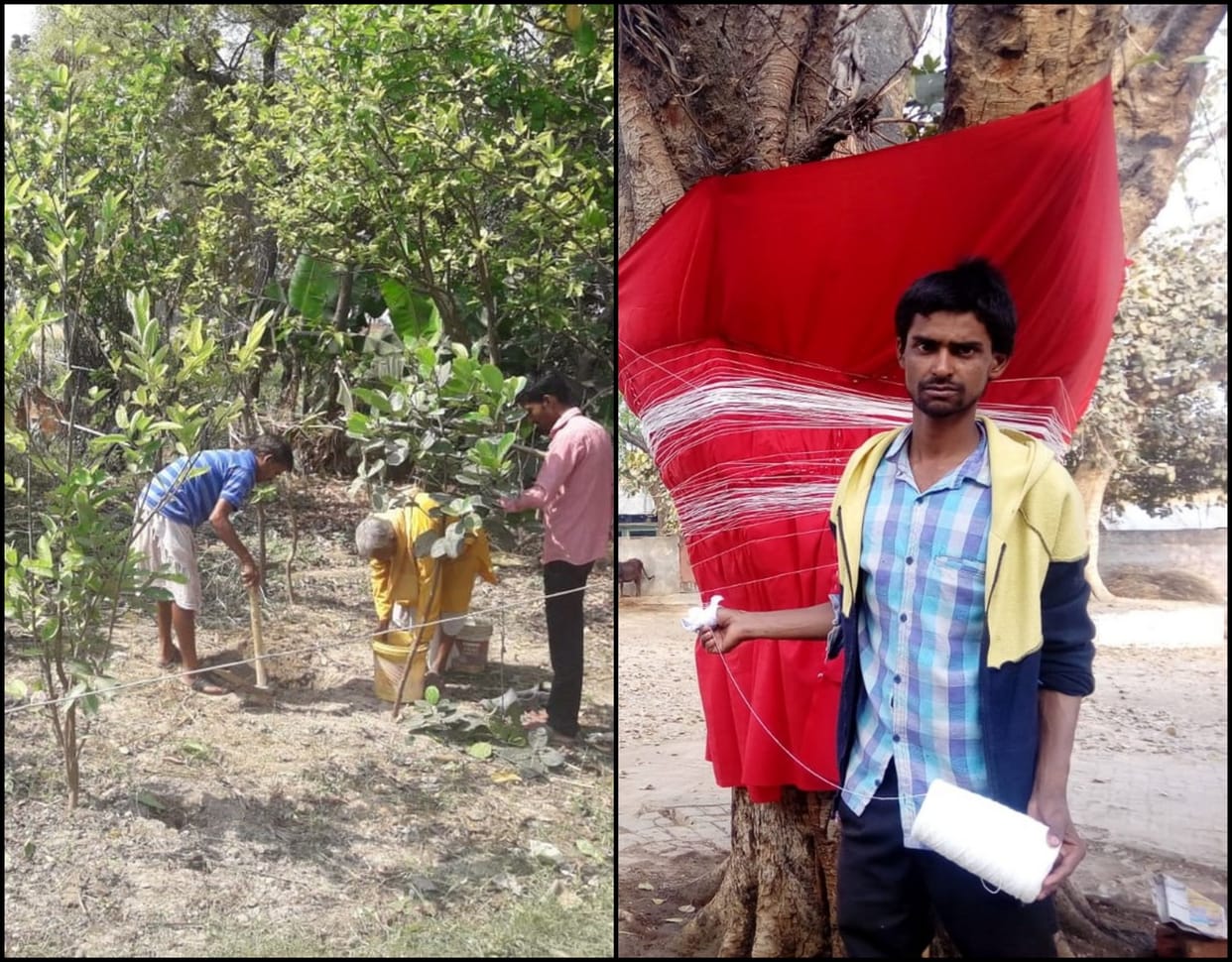 world environment day 2019 people help to save earth plantation varanasi