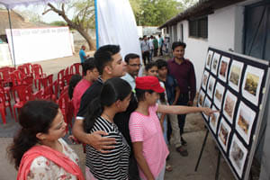 75 painting display in kala sopan