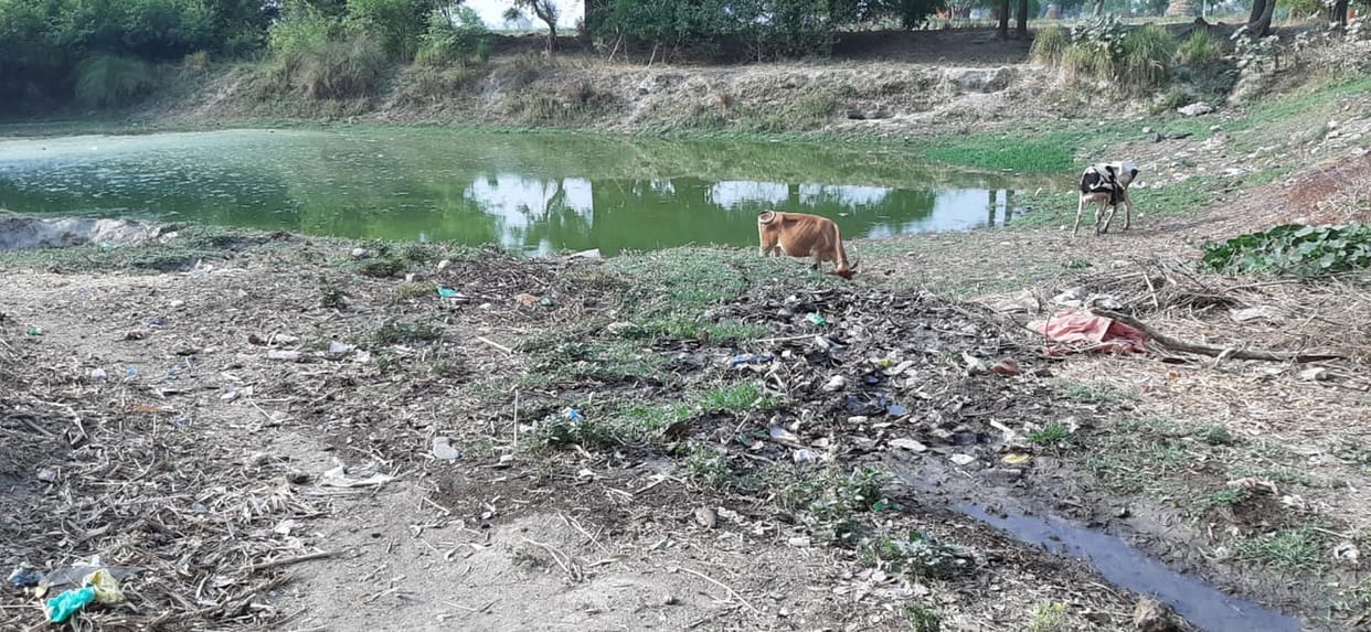 सौंदर्यीकरण पर करोड़ों खर्च, तालाबों की नहीं बदली सूरत