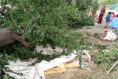 tree and house roofs damaged due to storm in himachal