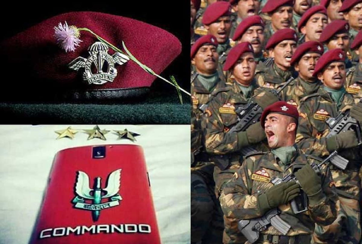 World Cup 2019: BCCI backs MS Dhoni  over Army crest Balidaan Badge on gloves