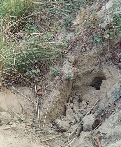 Risk of flooding in the population of 12 lakh