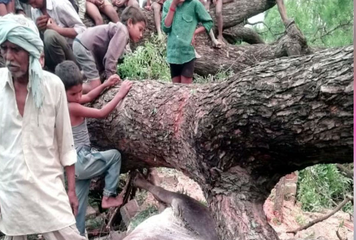 Five Died in Thunderstorm hits etah kasganj latest news in hindi